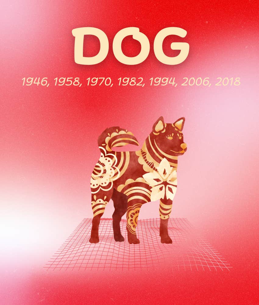 dog chinese zodiac signs luck prosperity may 11 - 17, 2026