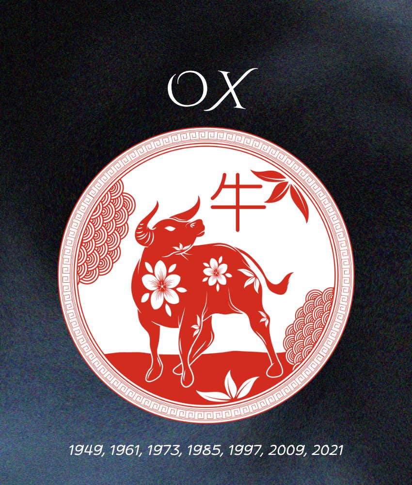 ox weekly chinese horoscope animal sign may 11 - 17, 2026