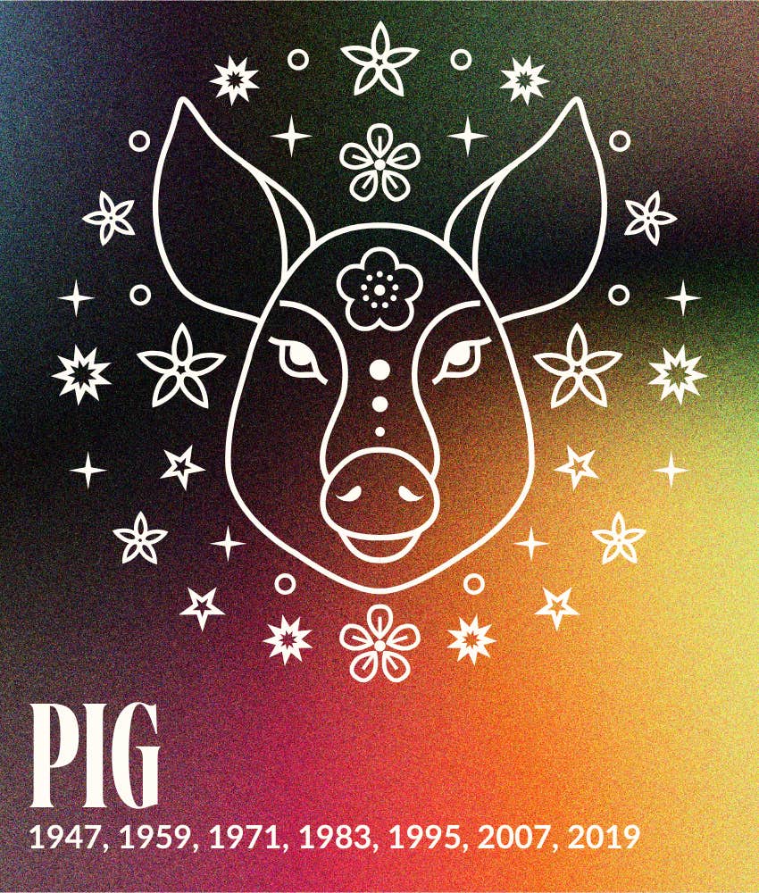 pig year fire horse 2026 horoscopes chinese zodiac signs