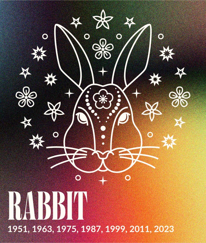 rabbit year fire horse 2026 horoscopes chinese zodiac signs
