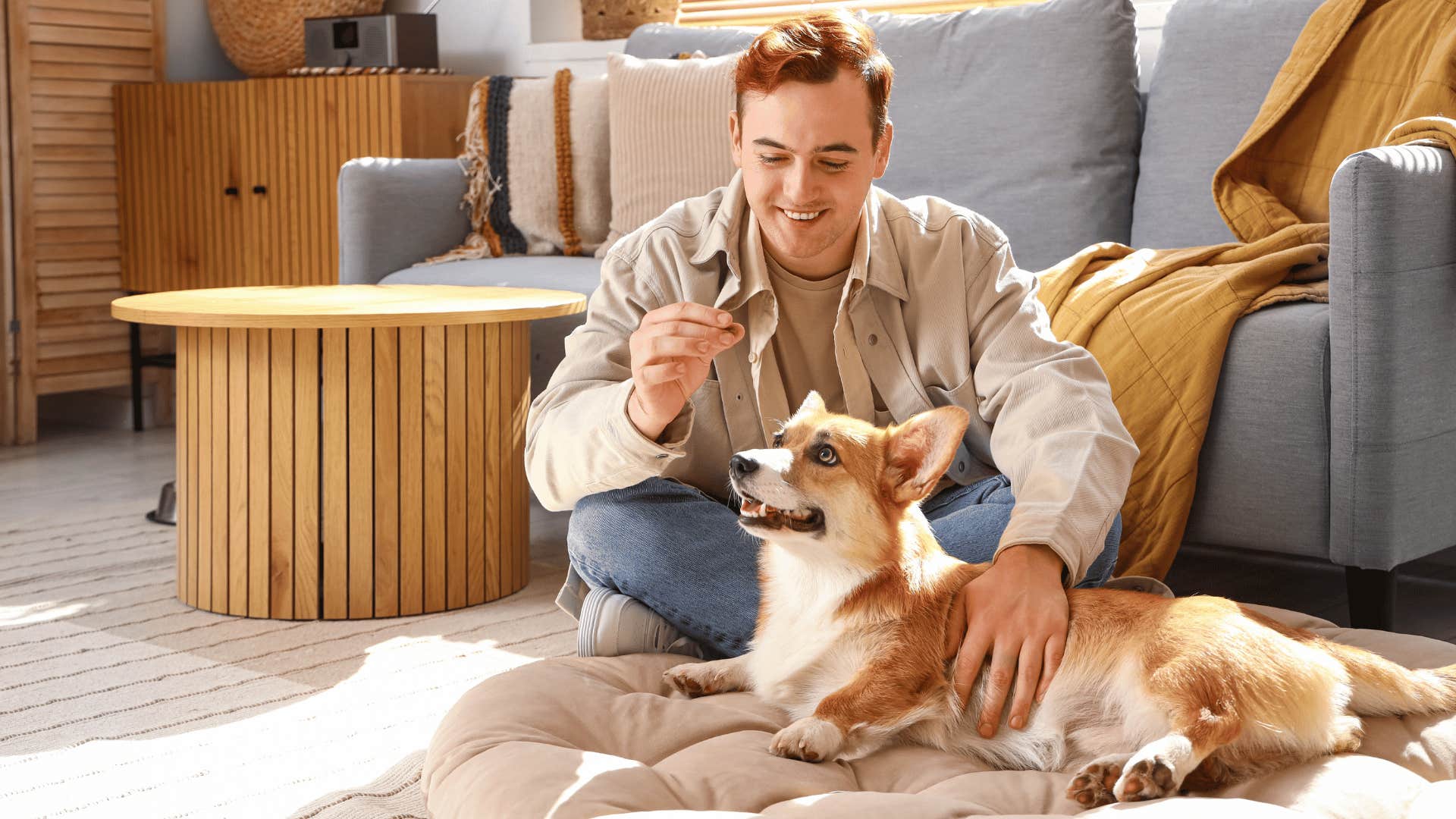 man trying to feed dog who is refusing to eat