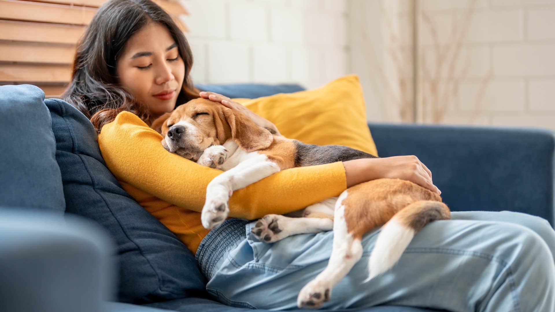 owning a pet affordable 10 years ago middle class can't afford 