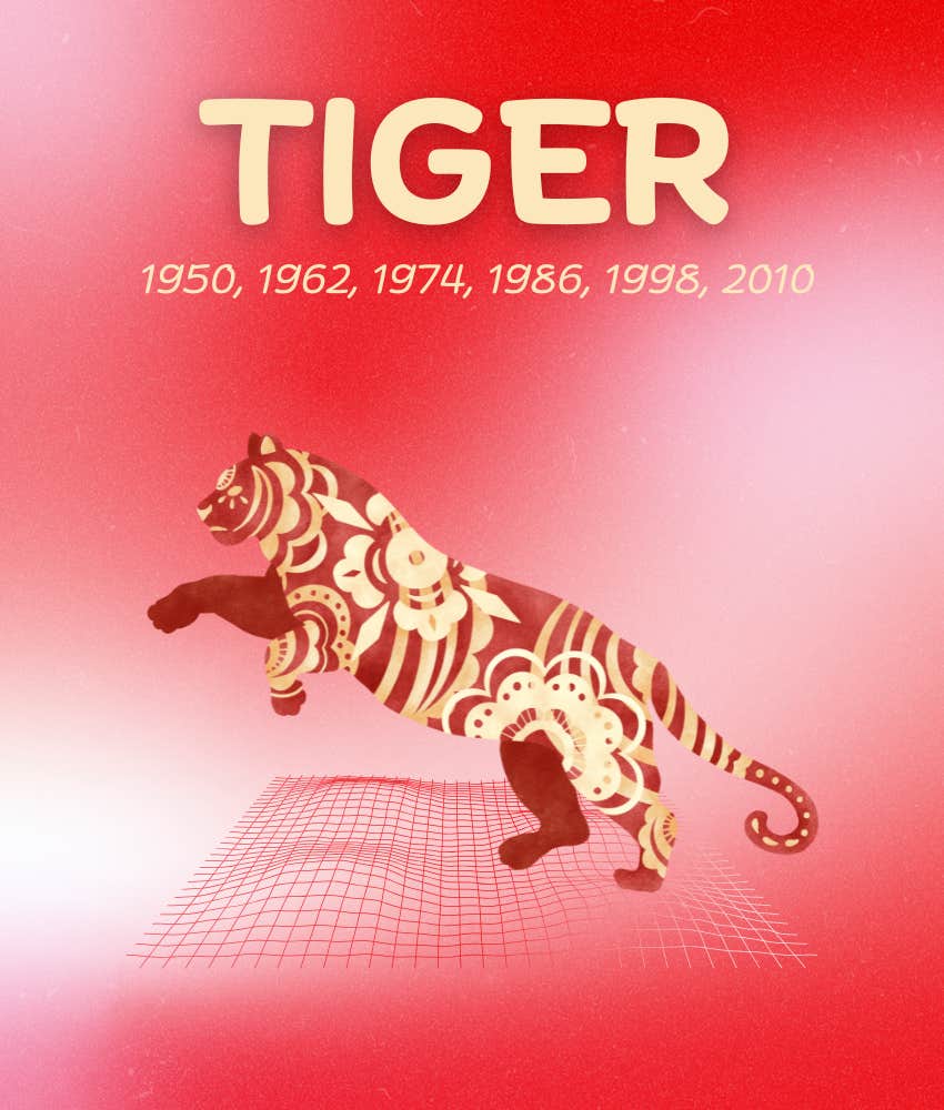 tiger chinese zodiac signs chosen ones 2026
